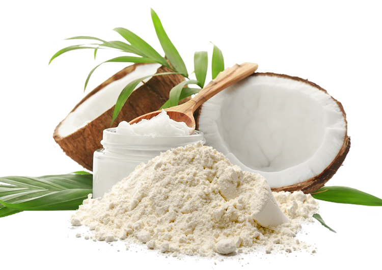 Organic Coconut Oil Powder